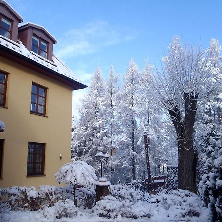 Villa Gorczanska Rabka Exteriér fotografie